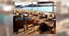 Restaurant Concarneau - 29900 - Finistère - 29 La Coquille 