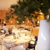 Restaurant Saint-Tropez - 83990 - Var - 83 Le Girelier 