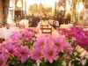 Restaurant Gisors - 27140 - Eure - 27 Le Chasse-Mare 